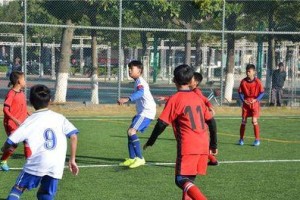 小学生篮球训练——碎步防守攻略（提升小学生篮球技巧，全面掌握碎步防守）