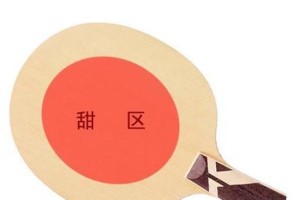 乒乓球冠军球拍握法的奥秘（掌握这一关键，提升你的球技水平）