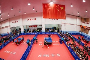 中国乒乓球的辉煌历史（从乒乓外交到世界霸主，中国乒乓球的发展与壮大）
