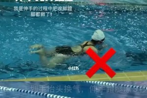 初学者游泳蹬腿换气技巧指南（掌握正确的蹬腿和换气方法，让你成为游泳高手）