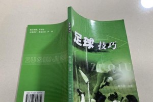 足球技巧的特点与魅力（探索足球技巧的关键要素和巧妙运用之道）