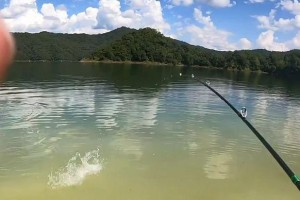 冬季寒冷如何打路亚钓鱼窝（寒冷天气下的路亚钓鱼技巧及窝点选择）