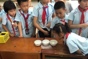 掌握乒乓球进碗技巧，享受游戏乐趣（高效扔球技巧带来精彩碗中击球体验）