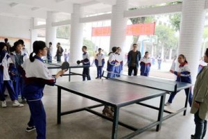 中考乒乓球是否值得投入的讨论（乒乓球对学生发展的影响和价值分析）