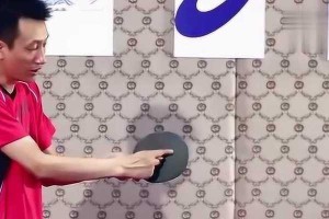 掌握乒乓球引拍技巧，提升球技水平（深入了解乒乓球引拍技巧的关键要点）