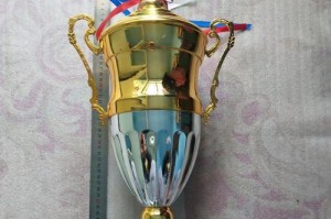 乒乓球奖项（探索乒乓球世界的顶尖奖项及其影响力）