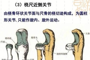 乒乓球肘关节的作用及保护方法（乒乓球运动中肘关节承受的压力及如何减轻伤害）