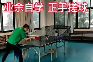 乒乓球技巧大揭秘（掌握反手和正手技巧的关键要素）
