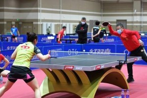 乒乓乐园——以乒乓打乒乓球的无尽乐趣（一起挥洒激情，畅享乒乓球的快乐时光）