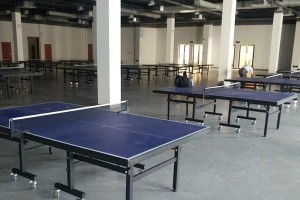 乒乓球减速制动击球技巧（掌握技巧，提高比赛战斗力）