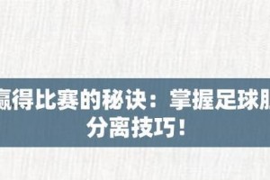 掌握足球比赛的观赏技巧（用眼睛看懂足球，享受比赛乐趣）