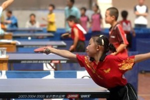 甘肃籍乒乓球考试——挑战与机遇（精英选拔赛为甘肃乒乓球事业注入新动力）