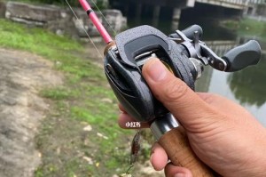 探究路亚技法在钓鱼中的应用（如何通过路亚技法提高钓鱼效果）