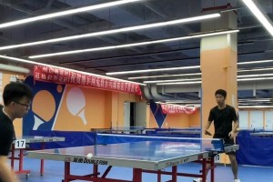 乒乓球搭高技巧大揭秘（掌握正确的击球姿势和力度，提升乒乓球搭高水平）