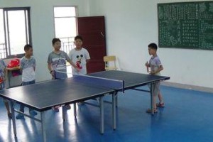 乒乓球对墙打技巧大全（提升球感和反应速度的关键练习方法）