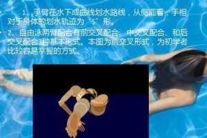 青岛游泳蛙泳蹬腿发力技巧（揭秘青岛游泳者使用的高效蛙泳蹬腿发力技巧）