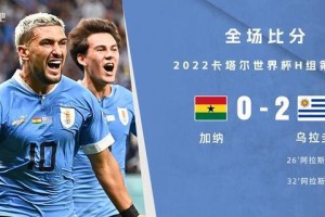 乌拉圭历史世界杯（揭秘乌拉圭足球的辉煌历程）