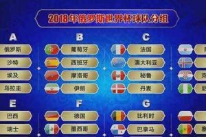 世界杯排名榜历史数据（从排名榜看球队的胜利与失败）