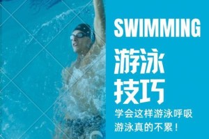 游泳无技巧之道（掌握游泳的基本要领，畅享水中乐趣）
