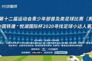 足球达人技巧大全解说（从基础技能到高级战术，助你在足球场上脱颖而出）