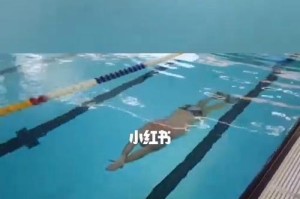 成人学游泳技巧（攻克水中的恐惧，迈向自由泳的殿堂）