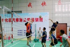 气排球接球传球动作要领（掌握正确的动作姿势，提高技术水平）
