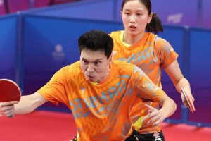 全运会乒乓球（中国队乒乓球在全运会上的统治地位再次得到确认）