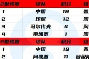 足球世界杯的历史成绩（从1928年开始，世界各国的足球强队在世界杯舞台上展开角逐）